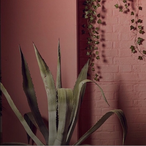 Meet your Posher - Picture 2 of 2